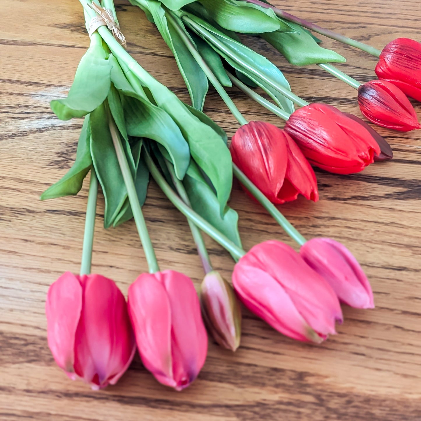 Tulip Bundles
