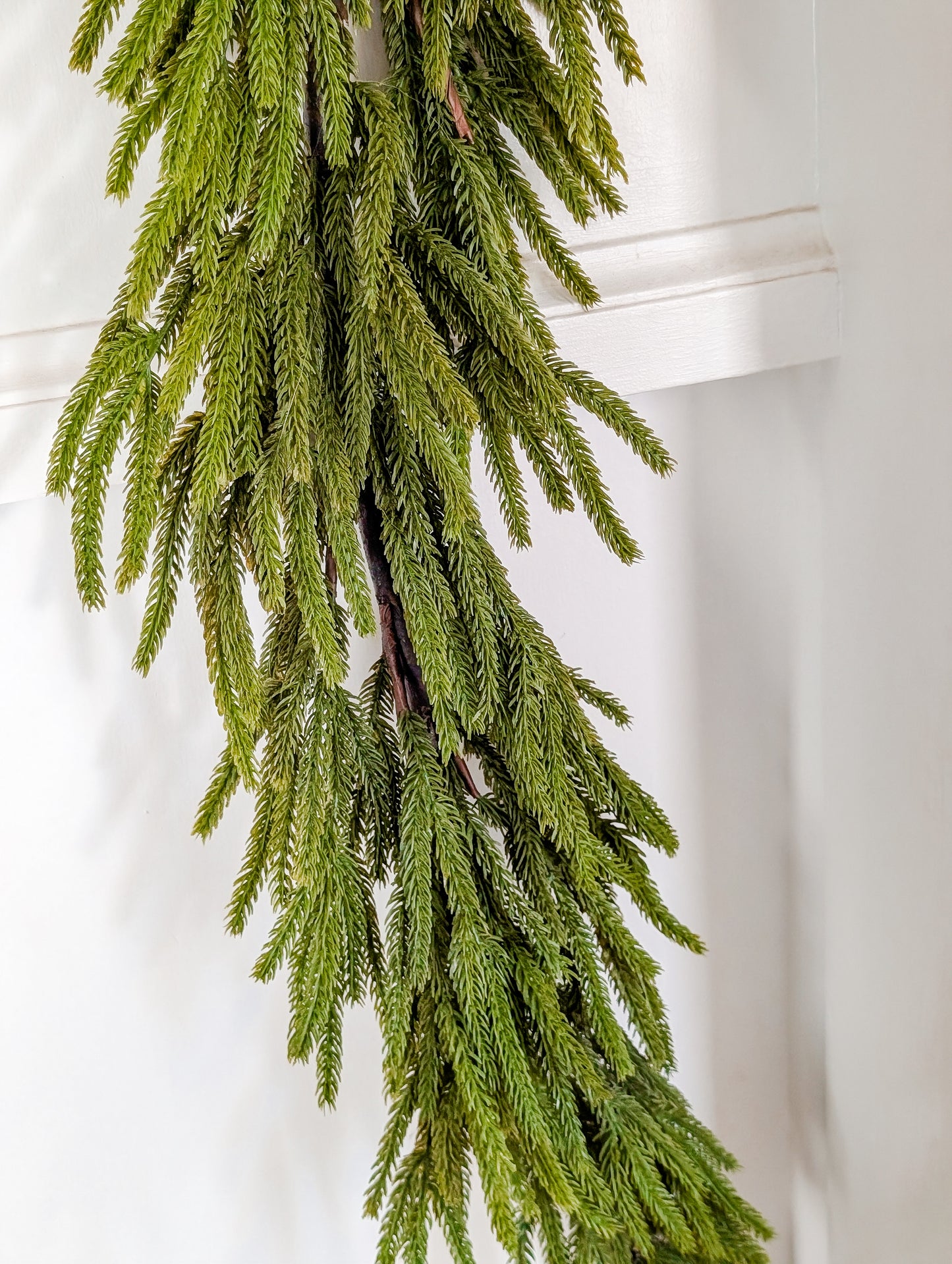 Norfolk Pine Garland