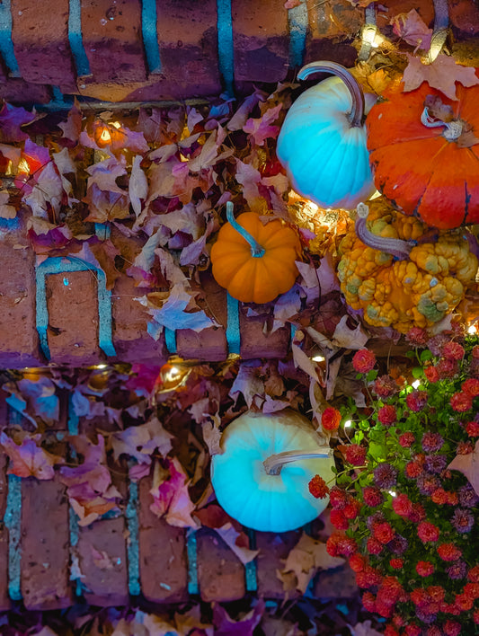 DIY: Transform Your Front Porch into a Cozy, Magical Twinkle Wonderland