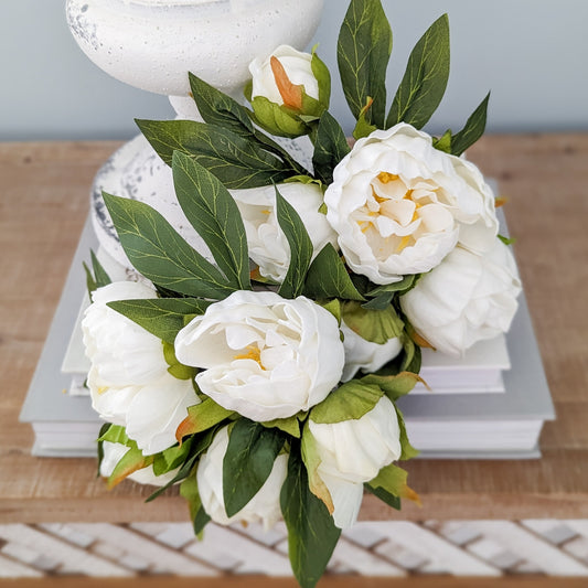 White Peonies