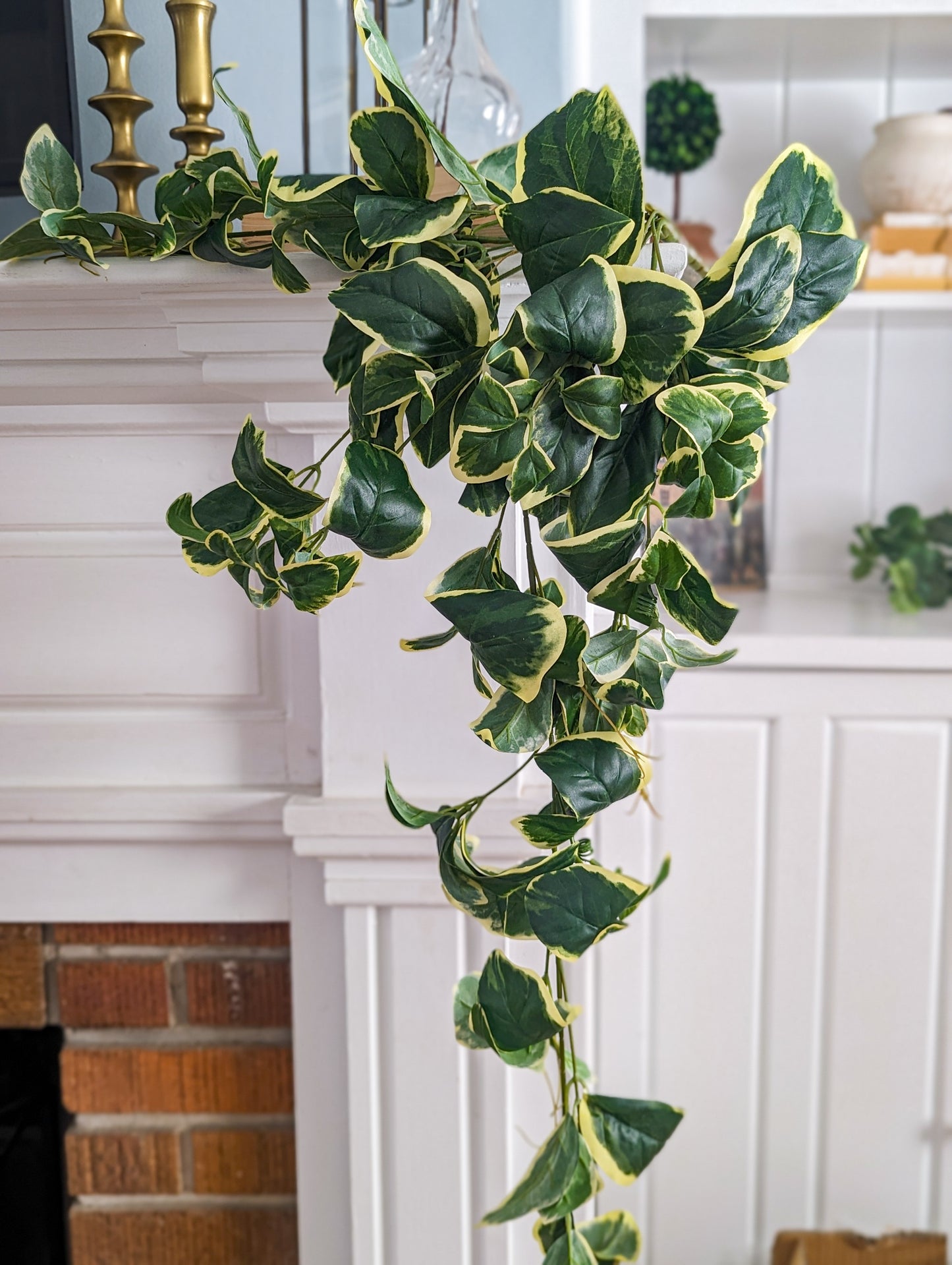 Boxwood Hanging Bush