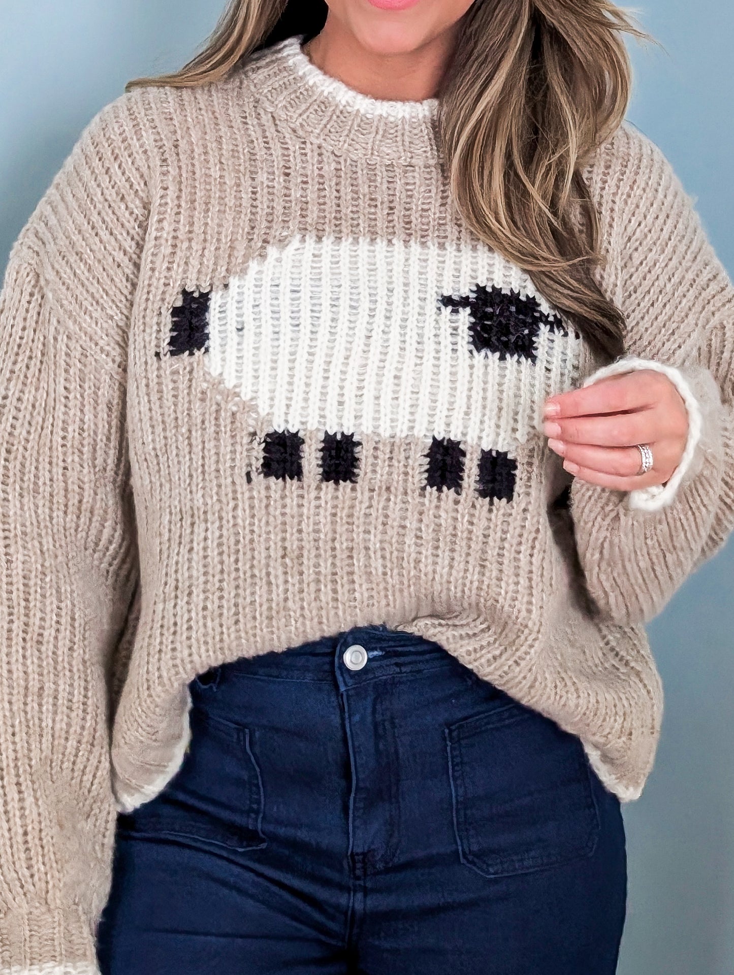 Knit Sheep Sweater